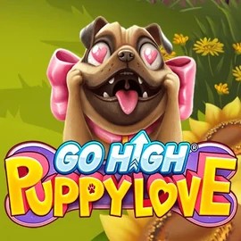 Go High Puppy Love casino game by RubyPlay – featured logo at Bet365 Casino