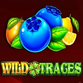 Play Wild Traces slot by Amusnet Interactive on rethymnosportfm.gr